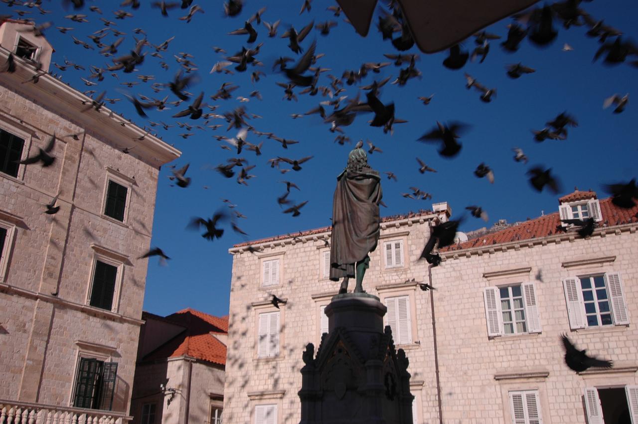 Villa Sigurata Dubrovnik Eksteriør bilde